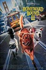 Watch Homeward Bound II: Lost in San Francisco 0123movies