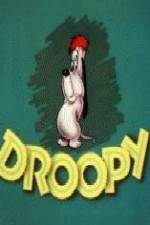 Watch Homesteader Droopy 0123movies