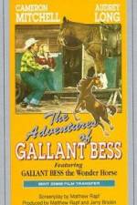 Watch Adventures of Gallant Bess 0123movies