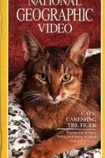 Watch Cats Caressing the Tiger 0123movies