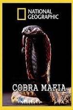 Watch National Geographic Cobra Mafia 0123movies