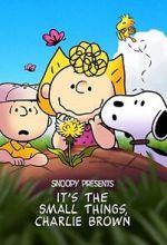 Watch Snoopy Presents: It's the Small Things, Charlie Brown (TV Special 2022) 0123movies