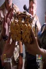 Watch Iraq's Lost Treasure 0123movies