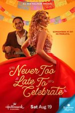 Watch Never Too Late to Celebrate 0123movies