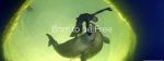 Watch Born to Be Free 0123movies