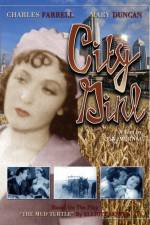 Watch Die Frau aus Chicago 0123movies