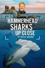 Watch Hammerhead Sharks Up Close with Bertie Gregory 0123movies