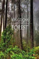 Watch National Geographic Kingdom of the Forest 0123movies