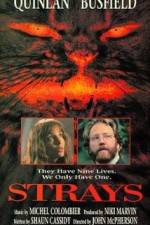 Watch Strays 0123movies