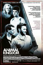 Watch Animal Kingdom 0123movies
