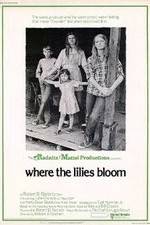 Watch Where the Lilies Bloom 0123movies