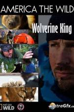 Watch National Geographic Wild America the Wild Wolverine King 0123movies