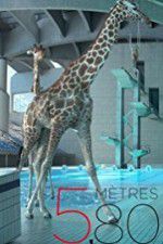 Watch 580 m�tres 0123movies