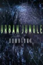 Watch National Geographic Wild Urban Jungle Downtown 0123movies