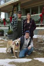 Watch Hallmark Hall of Fame A Dog Named Christmas 0123movies