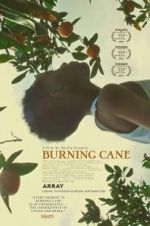 Watch Burning Cane 0123movies