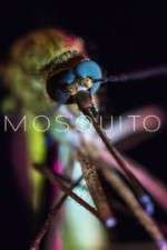 Watch Mosquito 0123movies