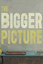 Watch The Bigger Picture 0123movies