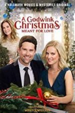 Watch A Godwink Christmas: Meant for Love 0123movies