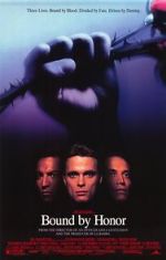 Watch Blood In, Blood Out 0123movies