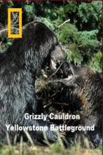Watch National Geographic Grizzly Cauldron 0123movies