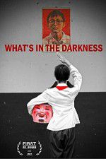 Watch What\'s in the Darkness 0123movies