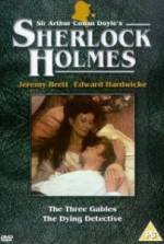 Watch The Dying Detective 0123movies