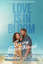 Watch Spring Breakthrough 0123movies
