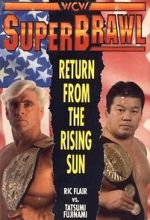Watch WCW SuperBrawl I 0123movies