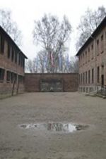 Watch Made in Auschwitz: The Untold Story of Block 10 0123movies