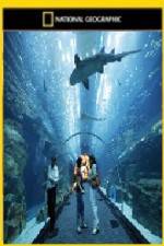 Watch National Geographic Megastructures Dubai Mega Mall 0123movies
