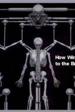 Watch How Wings Are Attached to the Backs of Angels 0123movies