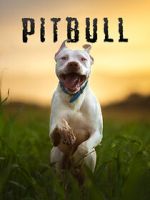 Watch Pitbull 0123movies