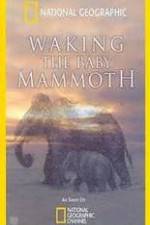 Watch Waking the Baby Mammoth 0123movies
