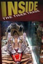 Watch Inside: The Tiger Trade 0123movies