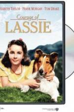 Watch Courage of Lassie 0123movies