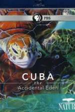 Watch Cuba: The Accidental Eden 0123movies