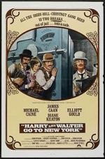 Watch Harry and Walter Go to New York 0123movies