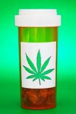 Watch Medicinal Cannabis and its Impact on Human Health 0123movies