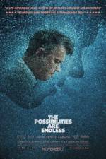 Watch The Possibilities Are Endless 0123movies