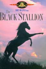 Watch The Black Stallion 0123movies