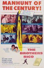 Watch The Brothers Rico 0123movies