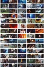 Watch The Tree of Life 0123movies