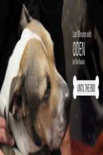 Watch Last Minutes with ODEN 0123movies