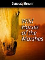 Watch Wild Horses of the Marshes 0123movies