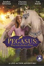 Watch Pony with a Broken Wing 0123movies