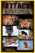Watch National Geographic Attack Of The Big Cats 0123movies