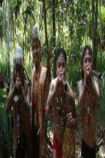 Watch National Geographic Headhunters Of WWII 0123movies