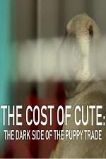 Watch The Cost of Cute: The Dark Side of the Puppy Trade 0123movies