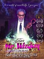 Watch The Mysterious Mr. Wizdom 0123movies
